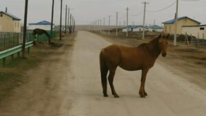 “Minä olen sinulle liian suuri”, hän varoitti hiljaa — mutta nainen kiipesi cowboyn syliin ja kuiskasi: “Kokeile silti tänä yönä.”
