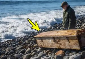Kalastaja löysi varhain aamulla vanhan metallisen arkun meren rannalta: avatessaan kannen hän jähmettyi näkemästään