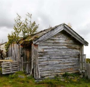 Leskeksi jäänyt nainen palkattiin kokkaamaan seitsemälle lapselle ja heidän isälleen… Hylätystä hänestä tuli heidän äitinsä.
