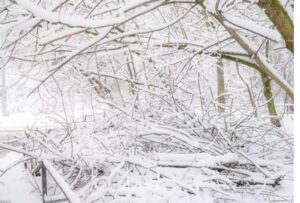 Mies näki tien laidassa tajuttomana makaavan tytön, jonka lähellä oli aikuisen miehen jalanjälkiä. Kun tyttö tuli tajuihinsa, hän kertoi miehelle jotakin kauhistuttavaa...