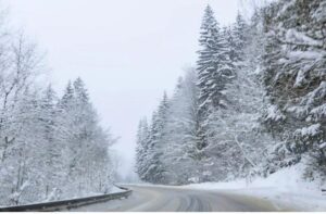 Eräänä päivänä isoäiti pelasti neljä sudenpentua, ja vuosia myöhemmin aikuiset sudet tekivät teon, joka kauhistutti koko kylää.