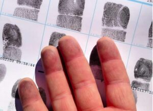 Koira muuttui äkisti raivokkaaksi havaittuaan, että nainen oli raskaana. Mutta syy sen käytökseen järkytti jopa poliiseja…