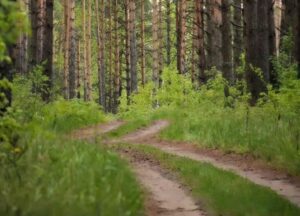 Nainen, joka epäili miestään pettämisestä, palkkasi yksityisetsivän; mutta saapuessaan paikalle hän kauhistui näkemästään.