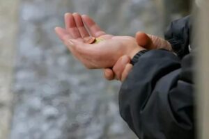 En kertonut vanhemmilleni koskaan, että juuri minä olin se ihminen, joka allekirjoitti viidensadan miljoonan dollarin sijoituksen ja pelasti heidän romahtamaisillaan olevan yrityksensä. En tehnyt sitä ylpeyden vuoksi enkä siksi, että halusin kiitosta. Tein sen, koska uskoin vielä silloin perheeseen. Uskoin, että veri ja menneisyys merkitsivät enemmän kuin raha.
